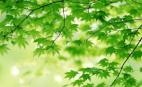 预示吉祥发达的80种美梦