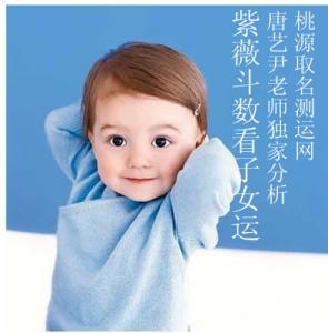 紫微斗数看子女（唐艺尹老师独家测算）