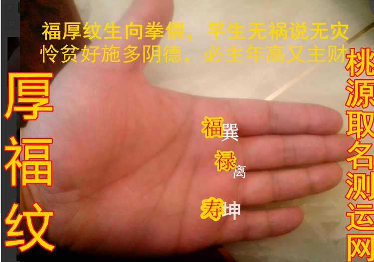 福厚纹：多福多寿多财在手相的标志