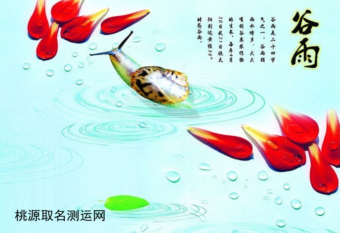 今日谷雨，谷雨时节养生要注意什么？