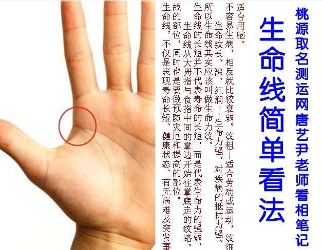 生命线看法图解（桃源取名测运网）
