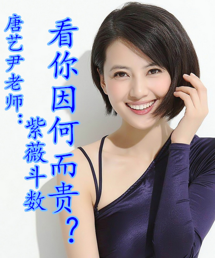 紫微斗数命盘：看你因何而贵？（独家紫薇分析）