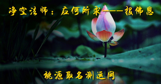净空法师：应何所求---报佛恩