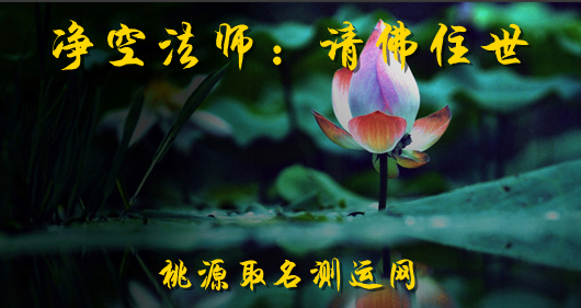 净空法师：请佛住世