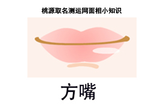 3.png