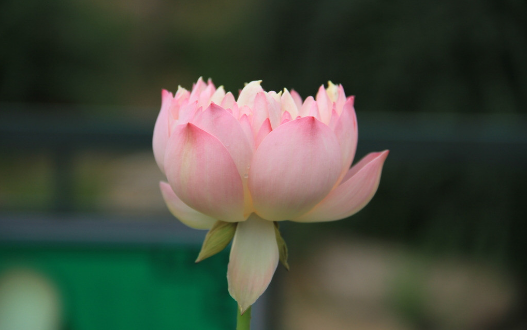 2019051032756.png 5.png