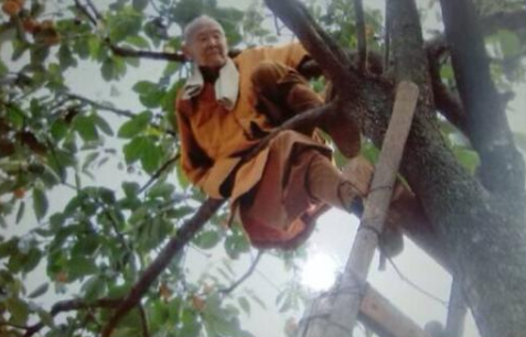 2020120367968.png 17.png