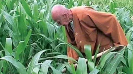 2020120390031.png 13.png