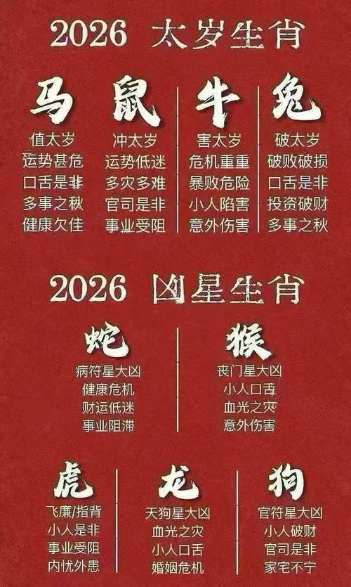 2025112688793.jpg 5.jpg