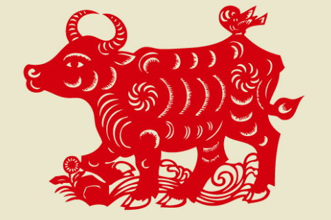 2025121687511.jpg 1.jpg