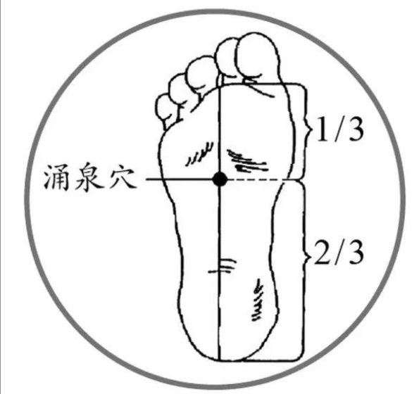 2026102288560.png